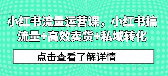 小红书流量运营课,小红书搞流量+高效卖货+私域转化 小红书流量运营课,小红书搞流量+高效卖货+私域转化