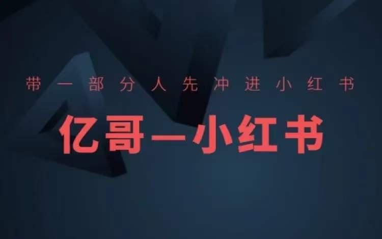 带一部分人先冲进小红书,小红书开店、选品、爆款裂变 带一部分人先冲进小红书,小红书开店、选品、爆款裂变