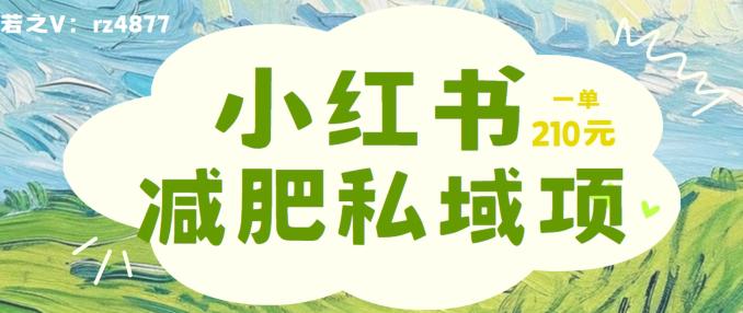 小红书减肥粉,私域变现项目,一单就达210元,小白也能轻松上手【揭秘】 -1 小红书减肥粉,私域变现项目,一单就达210元,小白也能轻松上手【揭秘】 -1