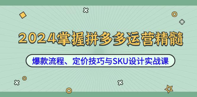2024掌握拼多多运营精髓:爆款流程、定价技巧与SKU设计实战课 -1 2024掌握拼多多运营精髓:爆款流程、定价技巧与SKU设计实战课 -1