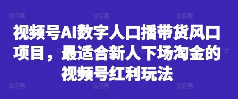 视频号AI数字人口播带货风口项目，最适合新人下场淘金的视频号红利玩法-阿灿学库