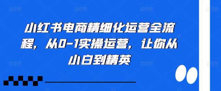 小红书电商精细化运营全流程,从0-1实操运营,让你从小白到精英 -1 小红书电商精细化运营全流程,从0-1实操运营,让你从小白到精英 -1
