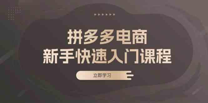 拼多多电商新手快速入门课程:涵盖基础、实战与选款,助力小白轻松上手 -1 拼多多电商新手快速入门课程:涵盖基础、实战与选款,助力小白轻松上手 -1