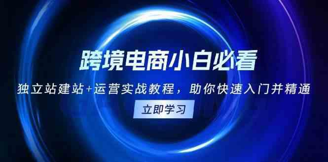 跨境电商小白必看!独立站建站+运营实战教程,助你快速入门并精通 -1 跨境电商小白必看!独立站建站+运营实战教程,助你快速入门并精通 -1