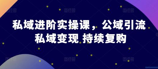 私域进阶实操课,公域引流 私域变现 持续复购 -1 私域进阶实操课,公域引流 私域变现 持续复购 -1
