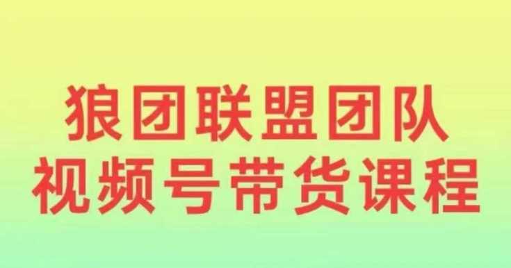 狼团联盟2024视频号带货,0基础小白快速入局视频号 -1 狼团联盟2024视频号带货,0基础小白快速入局视频号 -1
