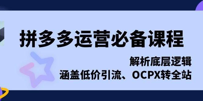 拼多多运营必备课程,解析底层逻辑,涵盖低价引流、OCPX转全站 -1 拼多多运营必备课程,解析底层逻辑,涵盖低价引流、OCPX转全站 -1