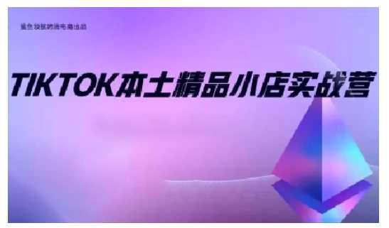 TikTok本土精品小店出海实战营,从入门到高阶,不止0-1! -1 TikTok本土精品小店出海实战营,从入门到高阶,不止0-1! -1