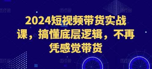 2024短视频带货实战课，搞懂底层逻辑，不再凭感觉带货 -1