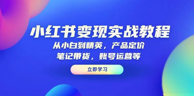 小红书变现实战教程:从小白到精英,产品定价,笔记带货,账号运营等 -1 小红书变现实战教程:从小白到精英,产品定价,笔记带货,账号运营等 -1