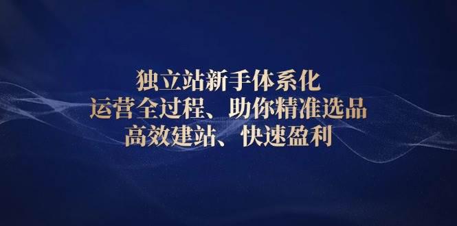 独立站新手体系化 运营全过程,助你精准选品、高效建站、快速盈利 -1 独立站新手体系化 运营全过程,助你精准选品、高效建站、快速盈利 -1