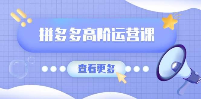 拼多多高阶运营课:极致群爆款玩法,轻付费无尽复制,打造单品爆款之路 -1 拼多多高阶运营课:极致群爆款玩法,轻付费无尽复制,打造单品爆款之路 -1