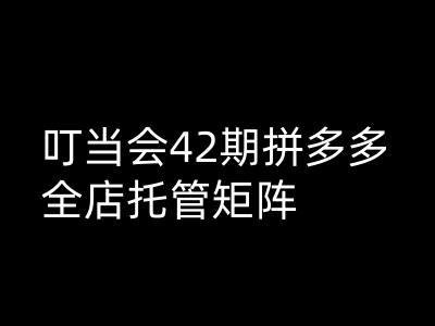 叮当会拼多多打爆班原创高阶技术第42期,拼多多全店托管矩阵 -1 叮当会拼多多打爆班原创高阶技术第42期,拼多多全店托管矩阵 -1