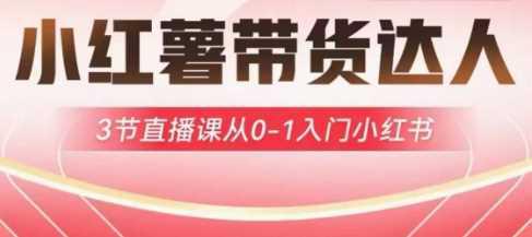 小红薯达人带货启航计划，3节直播课从0-1入门小红书-阿灿学库
