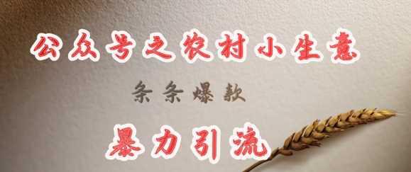 deepseek写农村小项目,条条爆款,暴力引流 -1 deepseek写农村小项目,条条爆款,暴力引流 -1