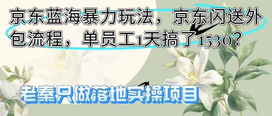 京东蓝海暴力玩法，京东闪送外包流程，单员工1天搞了1530？-阿灿学库