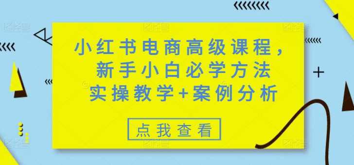 小红书电商高级课程,新手小白必学方法,实操教学+案例分析 -1 小红书电商高级课程,新手小白必学方法,实操教学+案例分析 -1