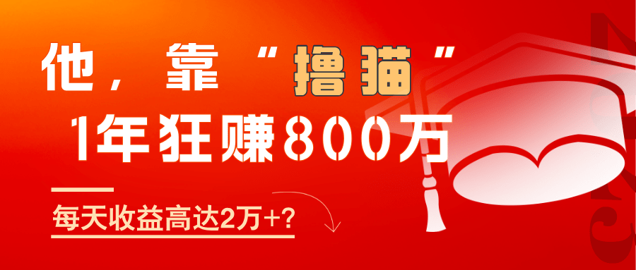 他，靠“撸猫”1年狂赚800万，每天收益高达2万+？-阿灿学库