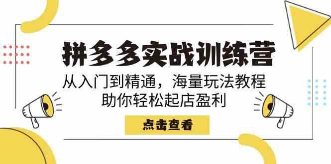 拼多多实战训练营,从入门到精通,海量玩法教程,助你轻松起店盈利 -1 拼多多实战训练营,从入门到精通,海量玩法教程,助你轻松起店盈利 -1