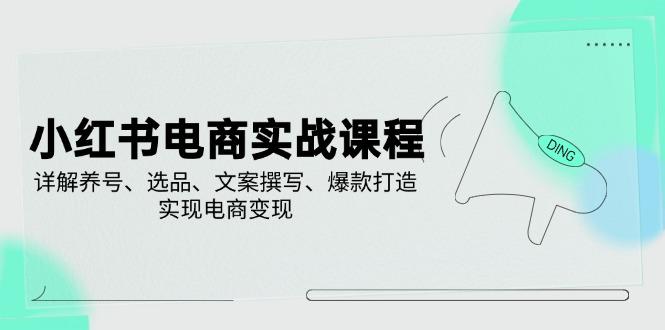 小红书电商实战课程,详解养号、选品、文案撰写、爆款打造,实现电商变现 -1 小红书电商实战课程,详解养号、选品、文案撰写、爆款打造,实现电商变现 -1