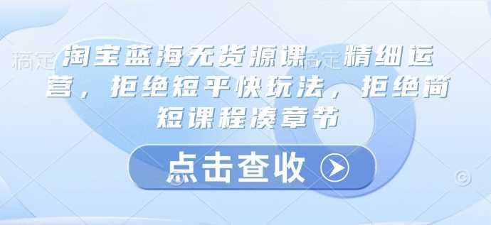 淘宝蓝海无货源课，精细运营，拒绝短平快玩法，拒绝简短课程凑章节-阿灿学库