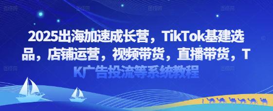 2025出海加速成长营，TikTok基建选品，店铺运营，视频带货，直播带货，TK广告投流等系统教程-阿灿学库