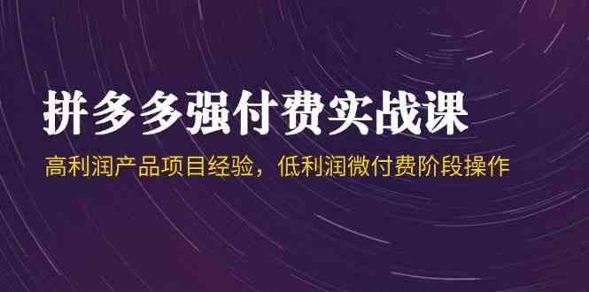 拼多多强付费实战课-44期,高利润产品项目经验,低利润微付费阶段操作 -1 拼多多强付费实战课-44期,高利润产品项目经验,低利润微付费阶段操作 -1