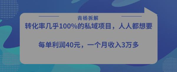 转化率最高的私域项目，每单利润40-50米，月入过1w -1