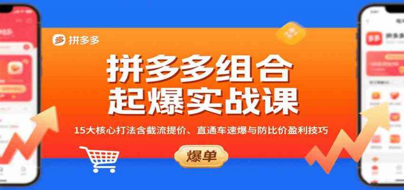 拼多多组合起爆实战课:15大核心打法含截流提价、直通车速爆与防比价盈利技巧 -1 拼多多组合起爆实战课:15大核心打法含截流提价、直通车速爆与防比价盈利技巧 -1