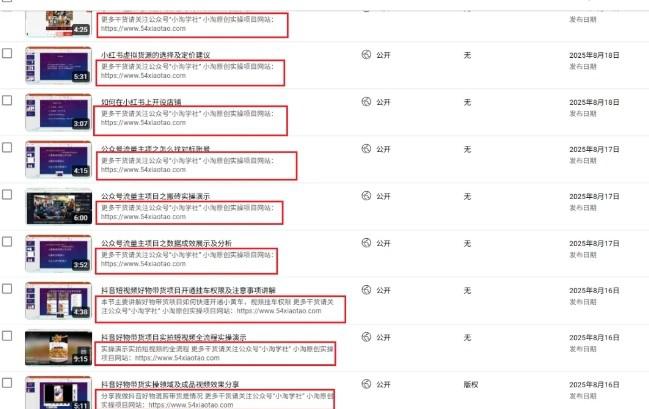 2025油管引流术,分享我是如何通过油管做引流的 -2 2025油管引流术,分享我是如何通过油管做引流的 -2