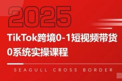 TikTok跨境0-1短视频带货,系统拆解TikTok跨境带货全链路,实现跨境可持续盈利 -1 TikTok跨境0-1短视频带货,系统拆解TikTok跨境带货全链路,实现跨境可持续盈利 -1