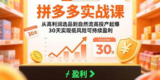 拼多多实战课:从高利润选品到自然流高投产起爆 30天实现低风险可持续盈利 -1 拼多多实战课:从高利润选品到自然流高投产起爆 30天实现低风险可持续盈利 -1
