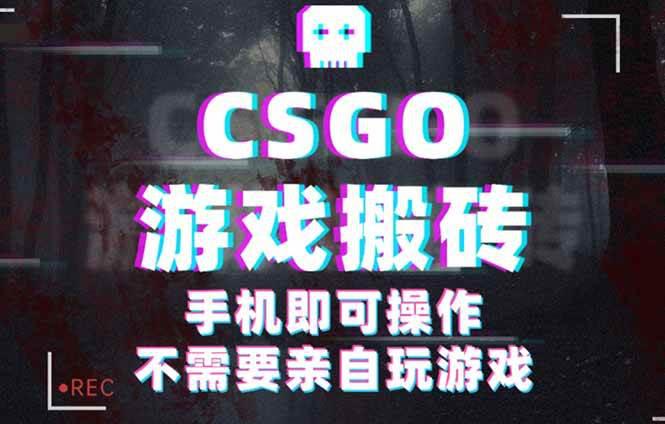 CSGO游戏挂机捡漏,单日扫货500+,年底小高峰上车可吃肉,手机即可操作…-阿灿学库