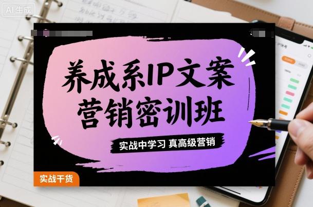 养成系IP文案营销密训班，实战中学习真高级营销-阿灿学库