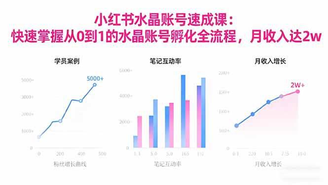 2025小红书水晶账号速成课:快速掌握从0-1水晶账号孵化全流程,月收入达2w -1 2025小红书水晶账号速成课:快速掌握从0-1水晶账号孵化全流程,月收入达2w -1