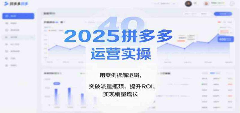 2025拼多多运营实操,用案例拆解逻辑,突破流量瓶颈、提升ROI,实现销量增长 -1 2025拼多多运营实操,用案例拆解逻辑,突破流量瓶颈、提升ROI,实现销量增长 -1