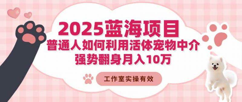 2025蓝海项目：普通人如何利用活体宠物中介，强势翻身月入10万 -1