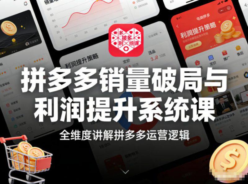 拼多多销量破局与利润提升系统课,全维度讲解拼多多运营逻辑 -1 拼多多销量破局与利润提升系统课,全维度讲解拼多多运营逻辑 -1