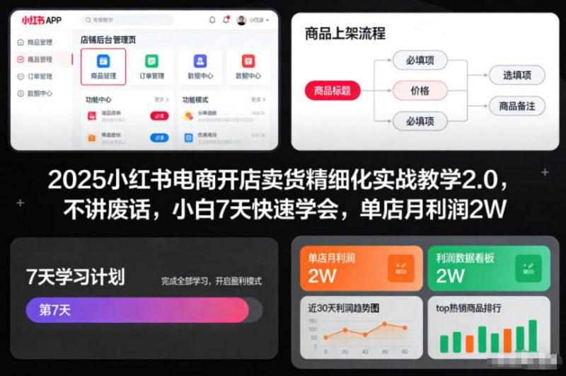 2025小红书电商开店卖货精细化实战教学2.0，不讲废话，小白7天快速学会，单店月利润2W -1