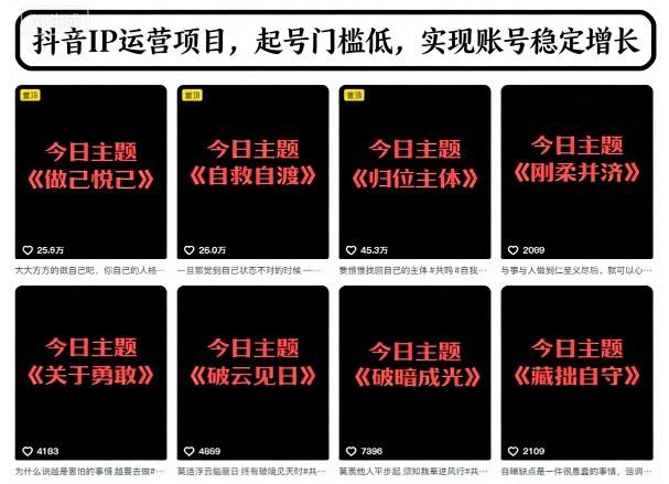 抖音IP运营项目,抖音今日主题玩法,起号门槛低,实现账号稳定增长 -1 抖音IP运营项目,抖音今日主题玩法,起号门槛低,实现账号稳定增长 -1