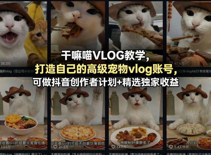 干嘛喵VLOG教学,打造自己的高级宠物vlog账号,可做抖音创作者计划+精选独家收益 -1 干嘛喵VLOG教学,打造自己的高级宠物vlog账号,可做抖音创作者计划+精选独家收益 -1