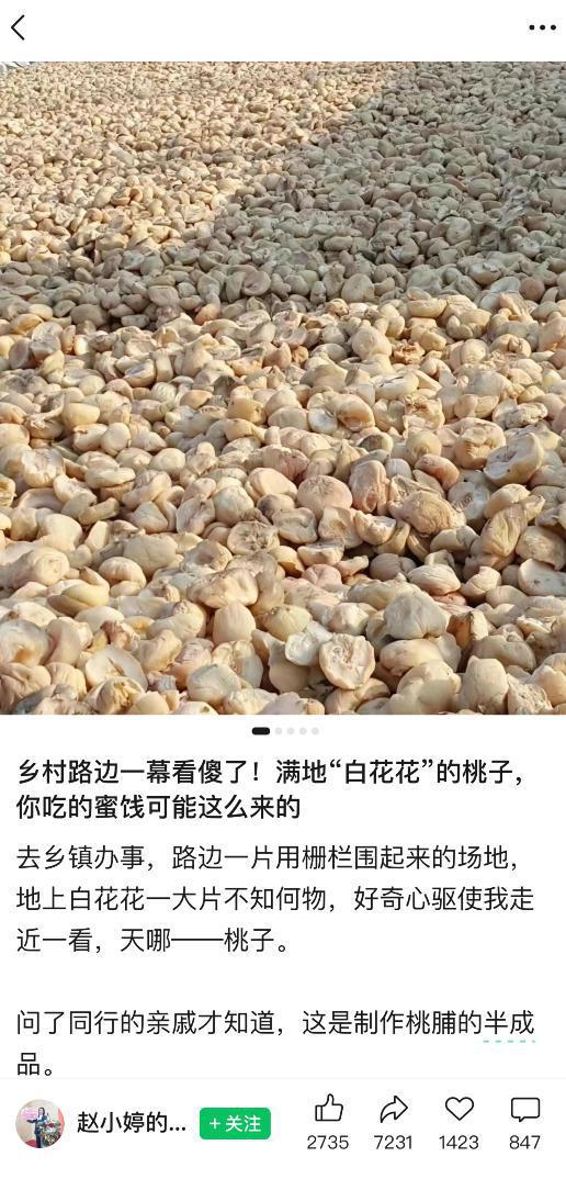 公众号小绿书贴图项目,赚收益实操玩法,听话照听话照少走90%弯路丨副业可做 -2 公众号小绿书贴图项目,赚收益实操玩法,听话照听话照少走90%弯路丨副业可做 -2