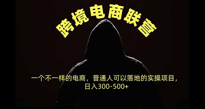 跨境电商联营,一个不一样的电商,普通人可操作日入300-500+-阿灿学库