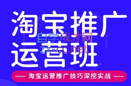 美迪电商·淘宝高级运营班+推广运营班(更新9月)-阿灿学库