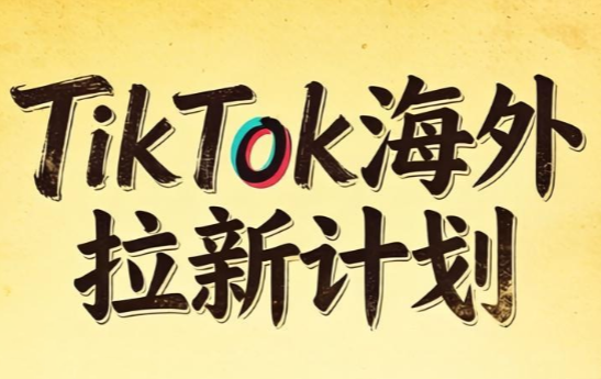 Tc联盟·TikTok海外拉新项目(更新9月)-阿灿学库