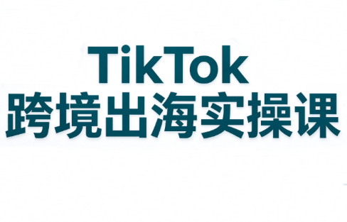 彭老师·TikTok跨境出海实操课-阿灿学库