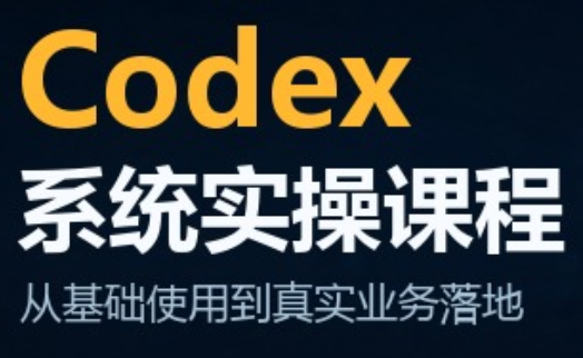 codex系统实操课程(更新10月)-阿灿学库