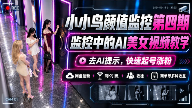小小鸟颜值监控第四期，监控中的AI美女视频教学，去AI提示，快速起号涨粉，网盘拉新+商K引流+收徒+商单等多种收益-红果网创