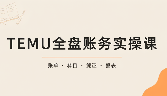 TEMU全盘账务实操课：账单导出、科目设置、利润核算-阿灿学库