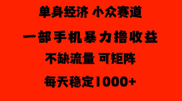 26年暴力单身经济，稳定日入500-1k，不缺流量，流量极大，冷门小众赛道，门槛低小白轻松上手【揭秘】-阿灿学库